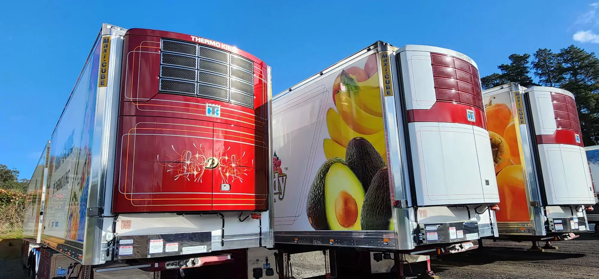 maxicube refrigerated truck